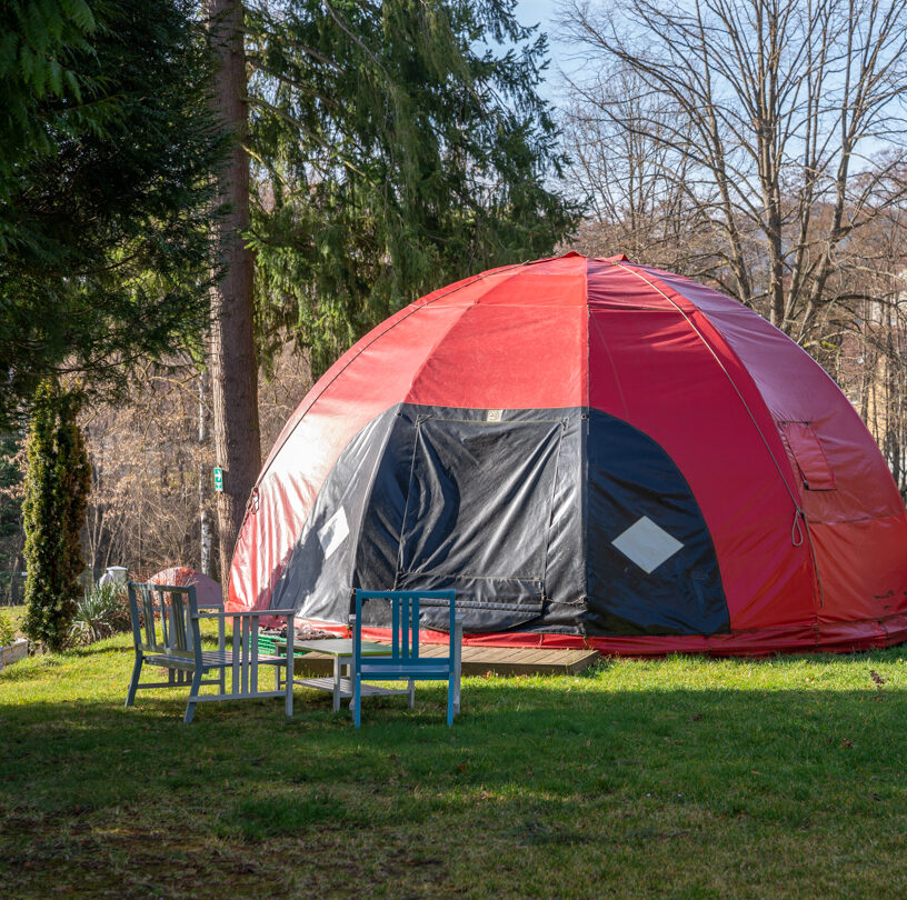 Coccinelle Emilie