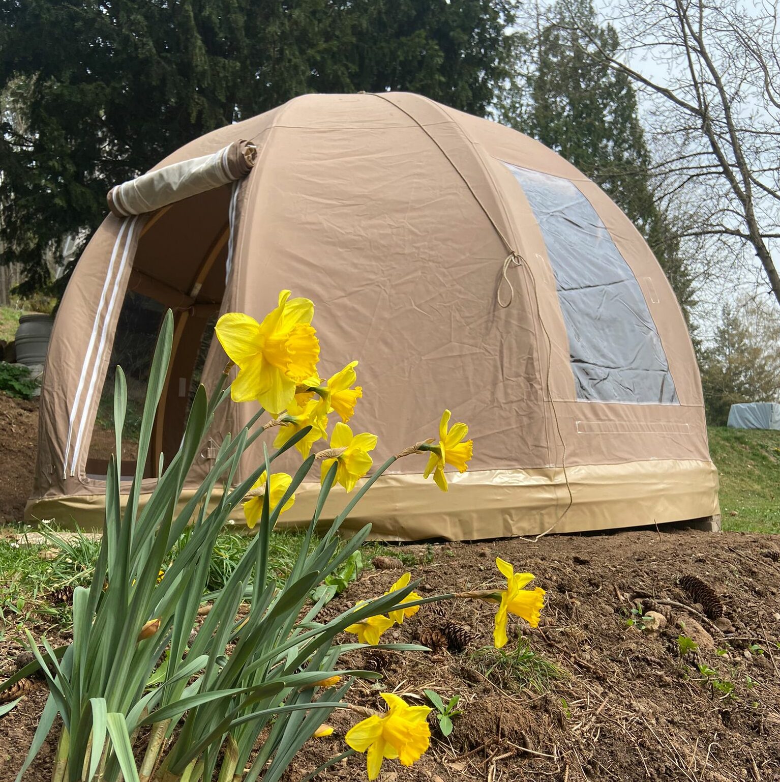 wigwam polaris